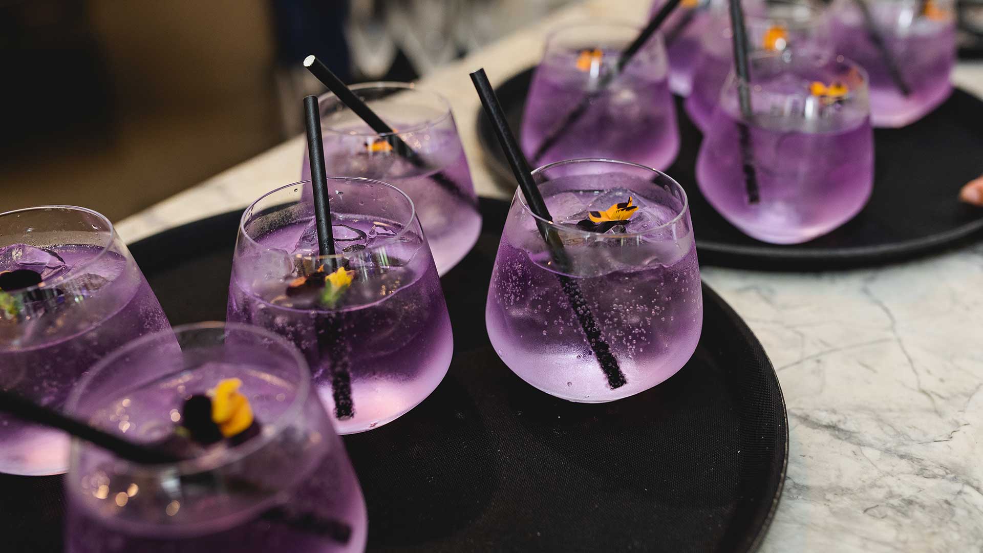 Ink Gin